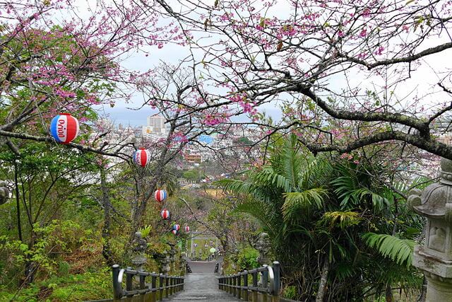 沖繩祭典、活動-名護櫻花祭