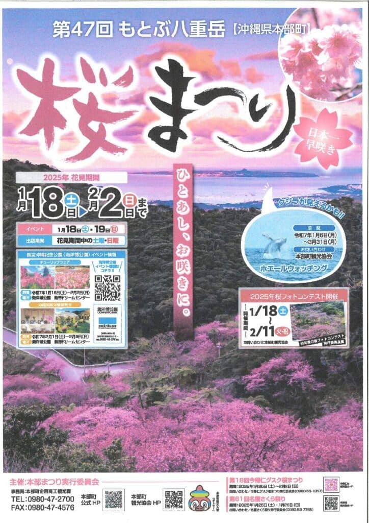 沖繩祭典-櫻花季
本部八重岳櫻花祭