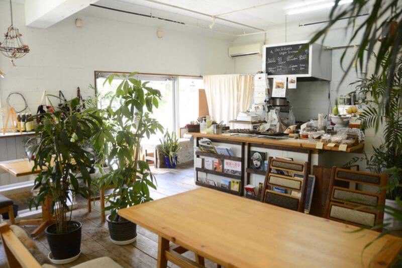 沖繩素食餐廳-中部-dechibica