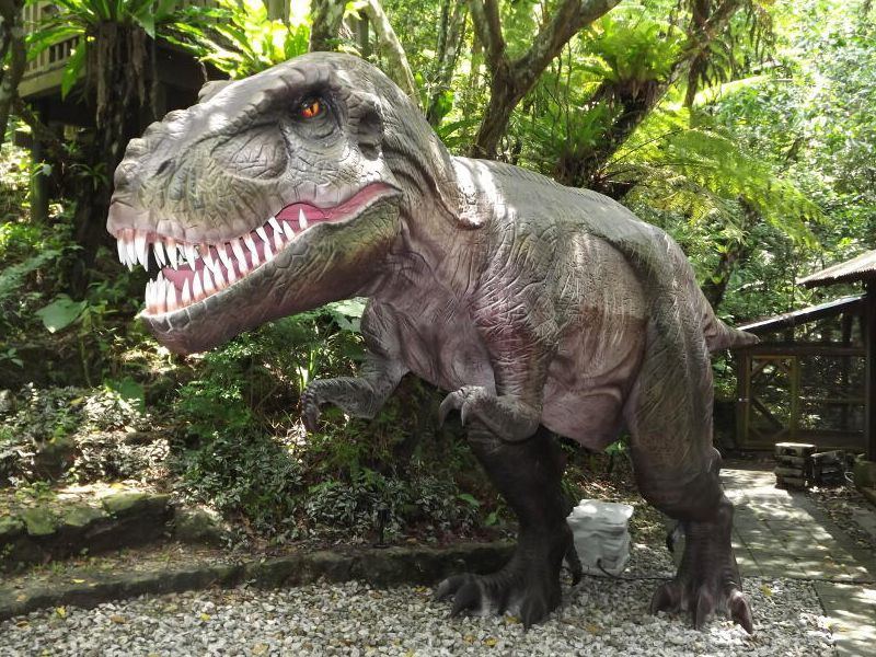 沖繩套票Okinawa FunPASS-DINO恐龍園亞熱帶森林