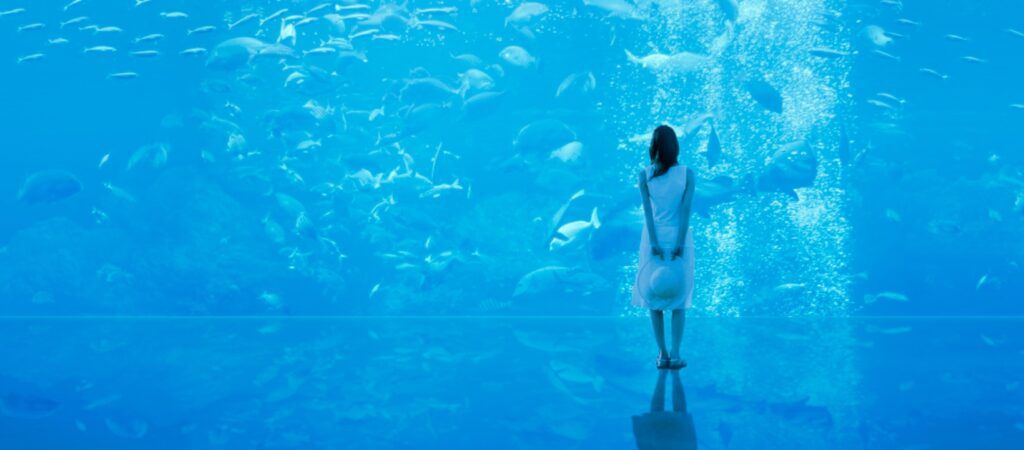 沖繩套票Okinawa FunPASS-DMM Kariyushi水族館